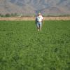 Roger Willis checking out the field