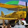 Your webmaster's DH-82a Tiger Moth.