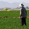 Mike Jester's Embraer crop duster circles over the alfalfa.