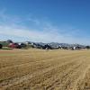 Verdant fields of alfalfa, oh wait, the other side of the road. This side was great to land on and made models easier to see on the ground.