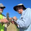 Rich Adams (L) holds Dave Semeraro’s Piper L-4 dimer as Dave (R) concentrates on disentangling the prop from Rich’s mylar streamer - Mike Kelly photo